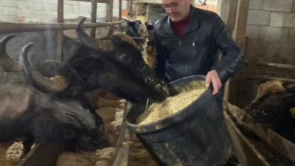 Giresun’da 286 manda işletmesine 12,3 milyon TL destek