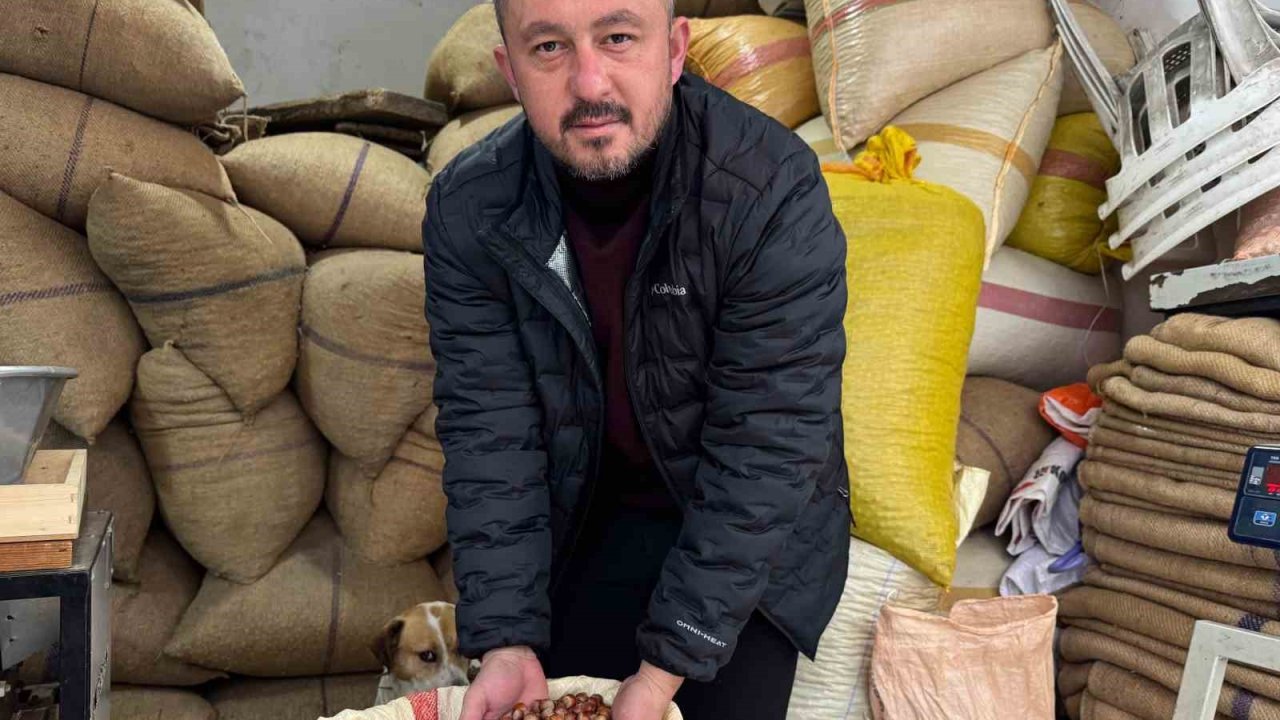 Giresun’da fındık fiyatı yılbaşına günler kala yükselişe geçti