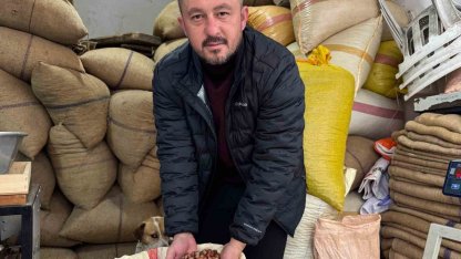 Giresun’da fındık fiyatı yılbaşına günler kala yükselişe geçti