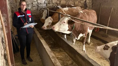 Hibe desteğiyle hayvancılık yapan besicilere yönelik denetim