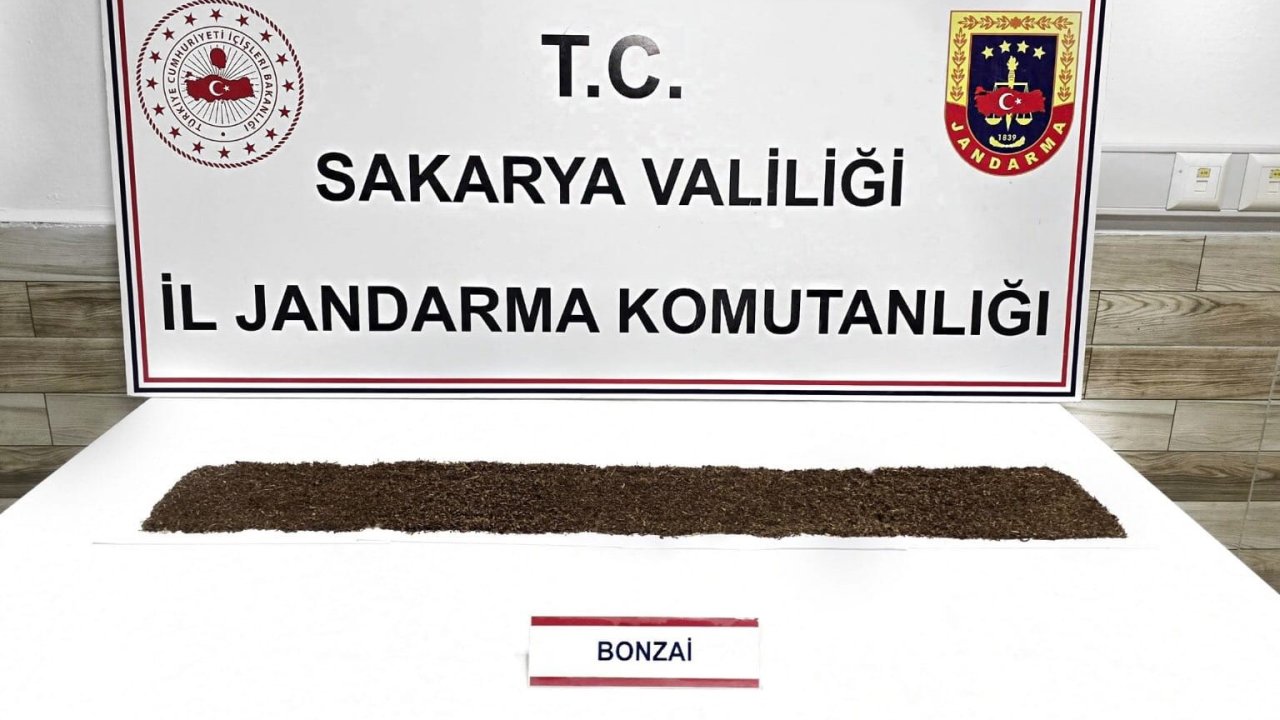Jandarma uyuşturucuya geçit vermiyor: 1 tutuklama