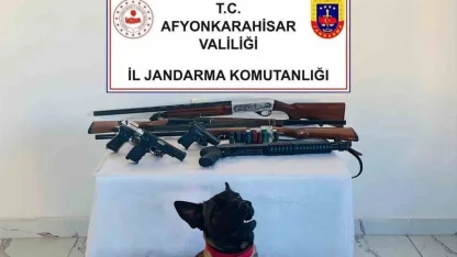 Jandarmadan ruhsatsız silah operasyonu