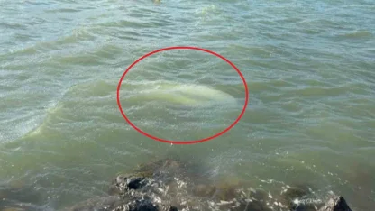 Karadeniz’de fırtına: Samsun’da 3 tekne battı