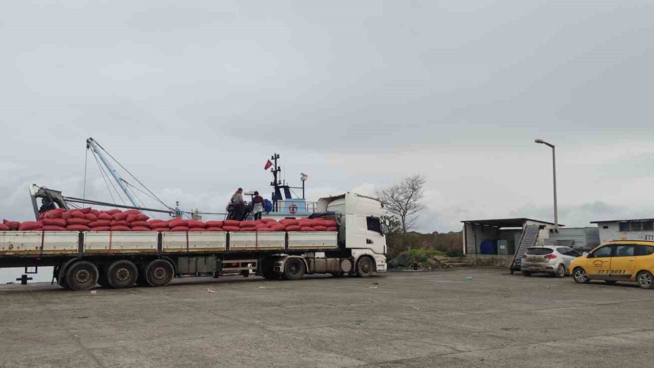 Karadeniz’den çıkartılan beyaz kum midyesine sıkı denetim