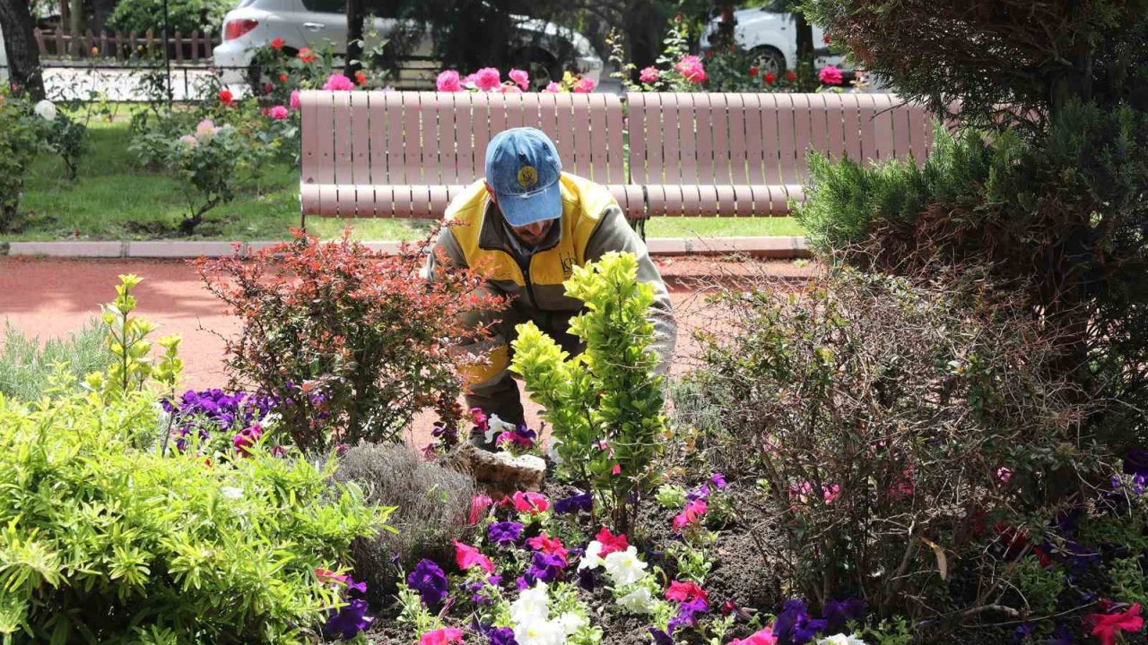 Keçiören’de seradan parklara uzanan yeşil yolculuk