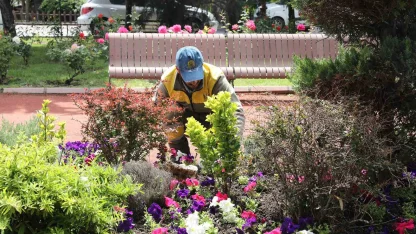 Keçiören’de seradan parklara uzanan yeşil yolculuk