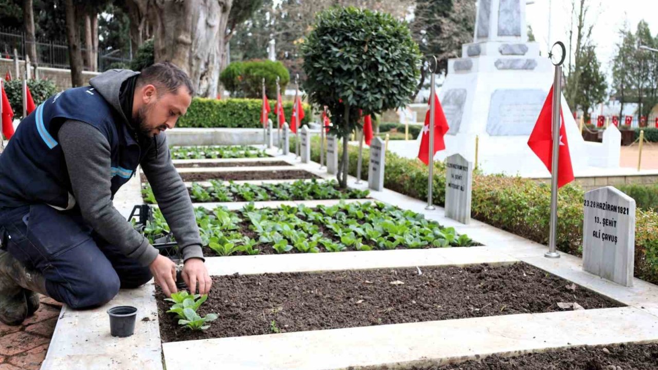 Kocaeli’de şehitliklerde bakım ve çiçeklendirme çalışması