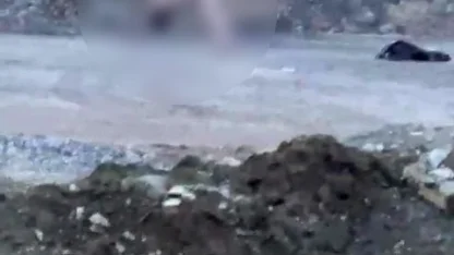 Köprü altında akıllara durgunluk veren görüntüler