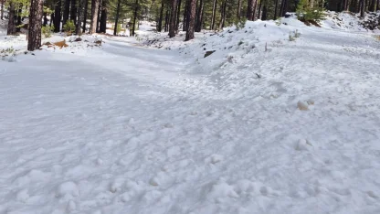 Köyceğiz Sandras Dağı karla kaplandı