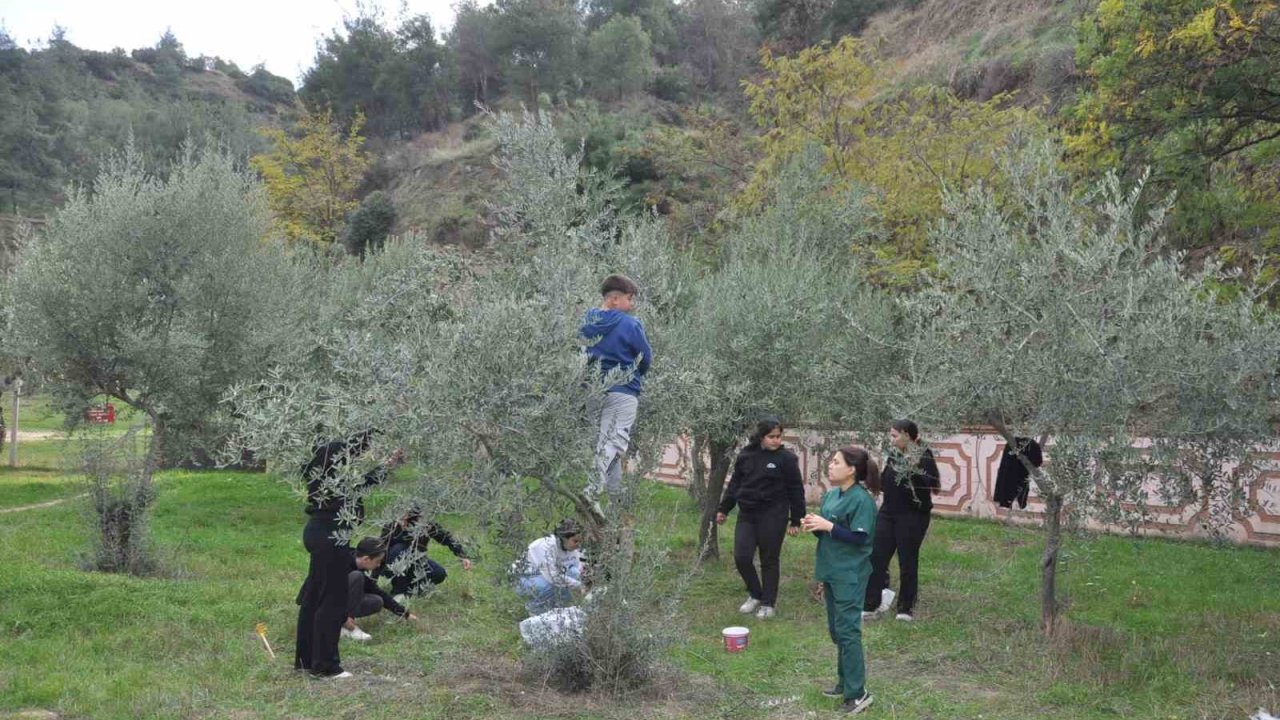 Manisa’da "Zeytin 5.0 Projesiyle" çocuklar hem öğrendi hem üretti