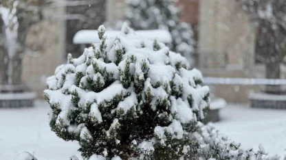 Mazıdağı’nda yoğun kar yağışı ve tipi etkili oluyor