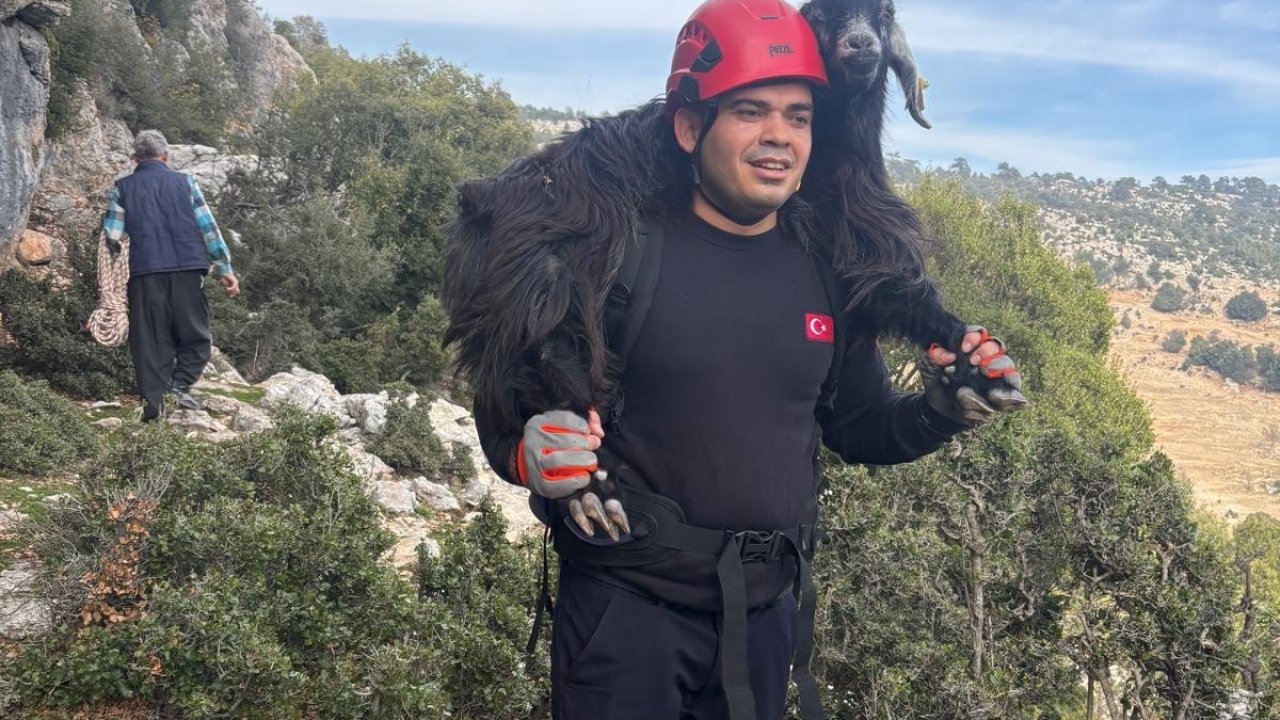 Mersin’de kayalıklarda mahsur kalan 2 keçi itfaiye ekiplerince kurtarıldı