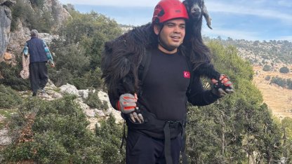 Mersin’de kayalıklarda mahsur kalan 2 keçi itfaiye ekiplerince kurtarıldı