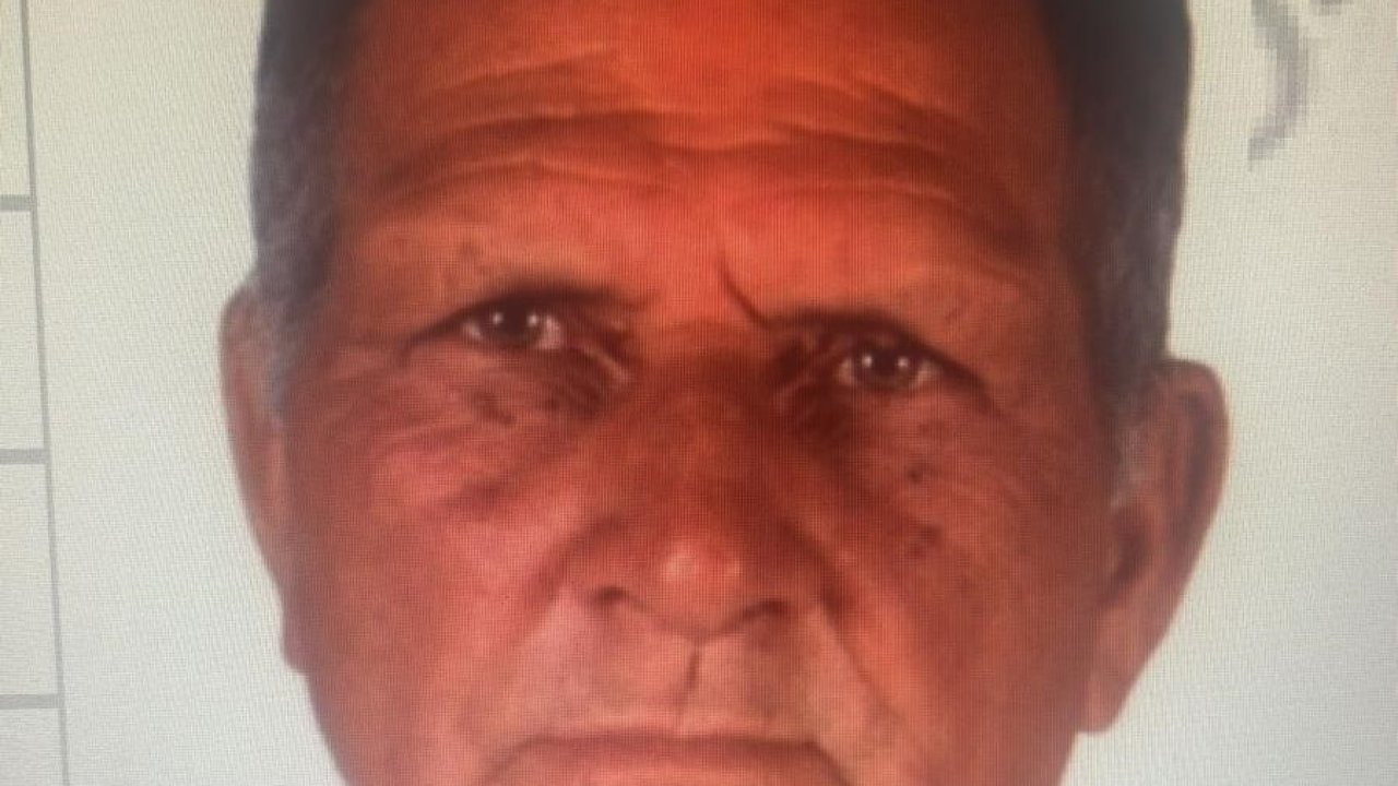 Milas’ta mantar ararken kaybolan 70 yaşındaki adamı arama çalışmaları sürüyor