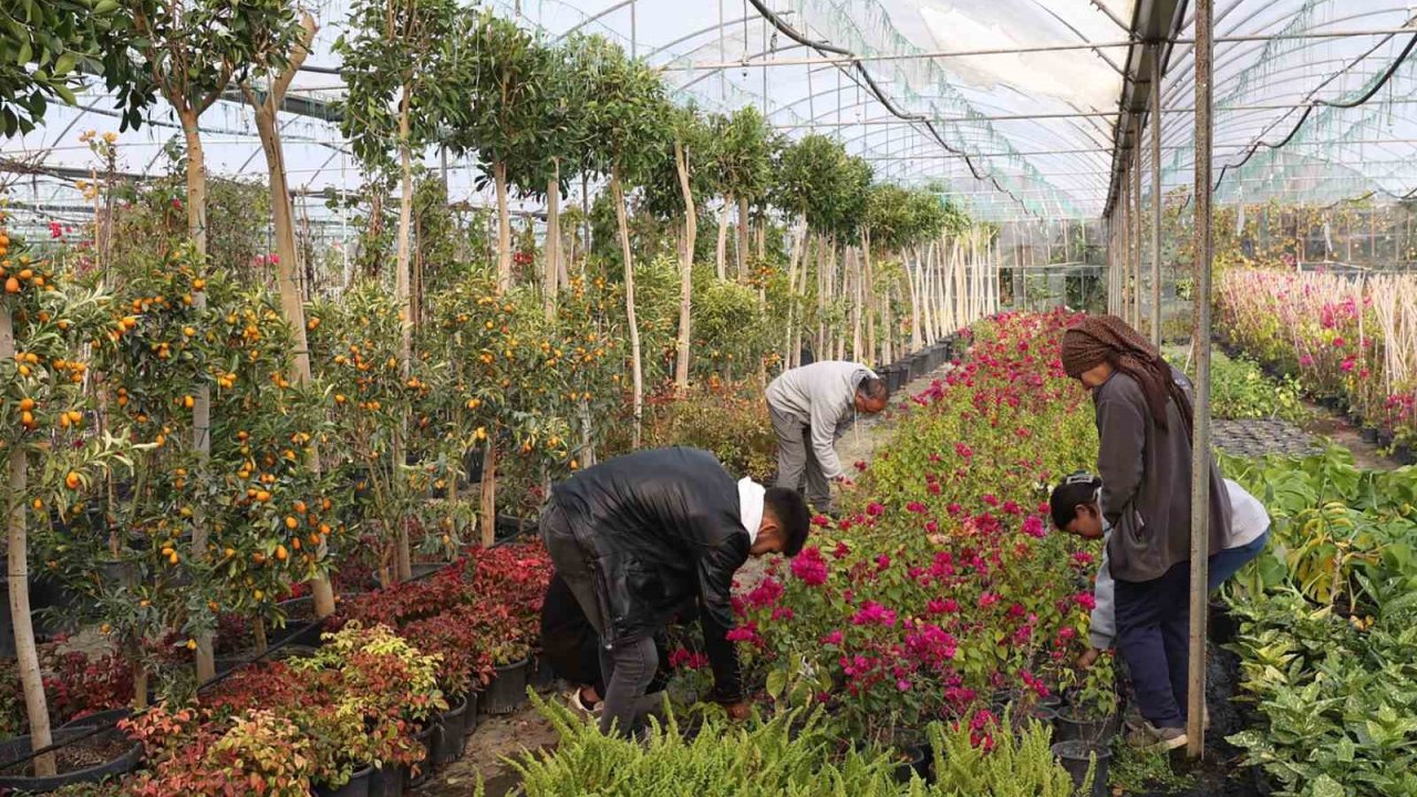 Muğla Büyükşehir’den yerel kalkınmaya katkı