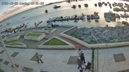 Pendik’te vicdanları sızlatan olay: Kediye tekme atıp denize fırlattı