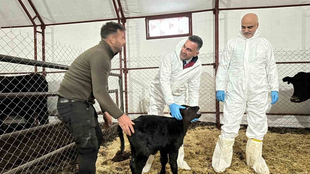 Pertek’te kırsala bereket: Genç veterinere hayvancılık desteği