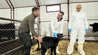 Pertek’te kırsala bereket: Genç veterinere hayvancılık desteği