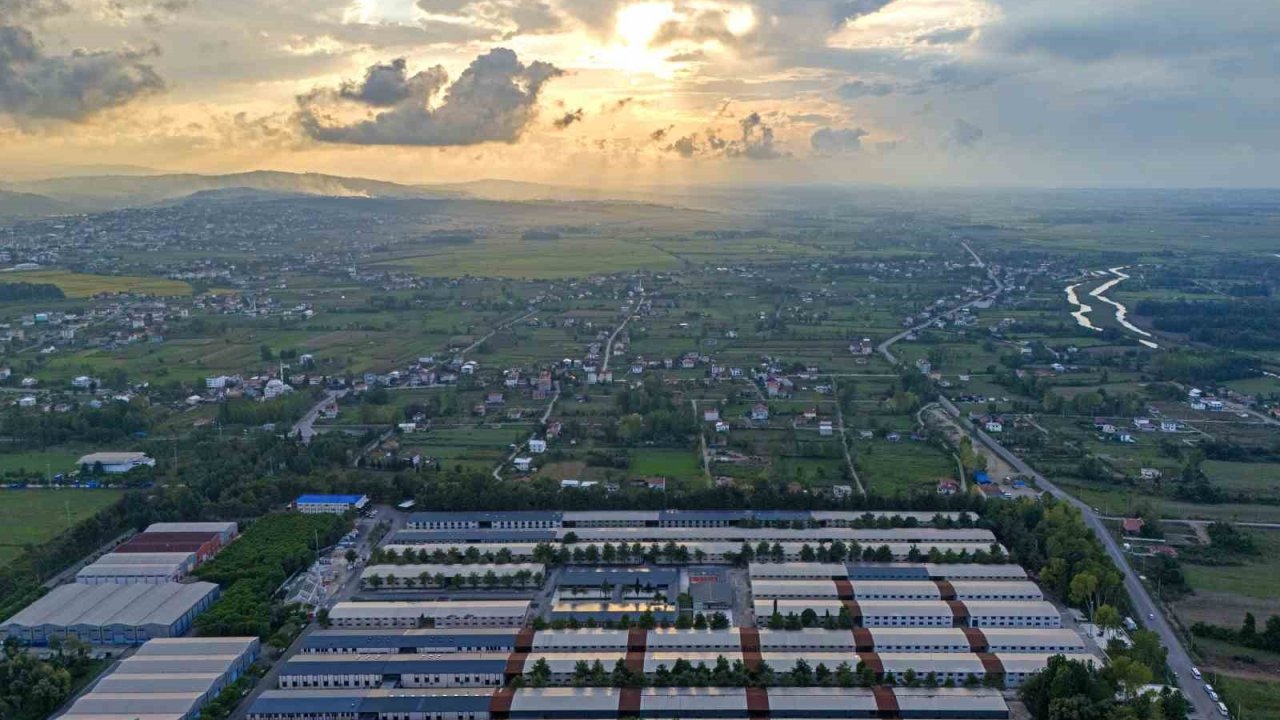 SAMÜ, 7 alanda ilk 20 üniversite arasında yer aldı