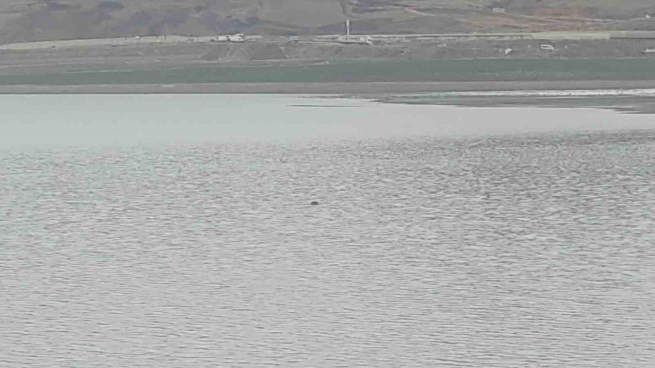 Sıhke Göleti’ne giren inek telef oldu