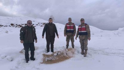 Siirt’te yaban hayvanlarına 750 kilo besi yemi bırakıldı