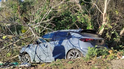 Sinop’ta kontrolden çıkan otomobil ağaçlık alana devrildi