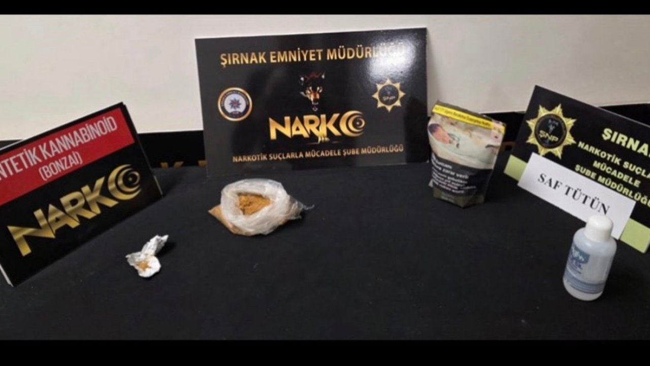 Şırnak’ta narkotik ve kaçakçılık operasyonu: 1 tutuklama