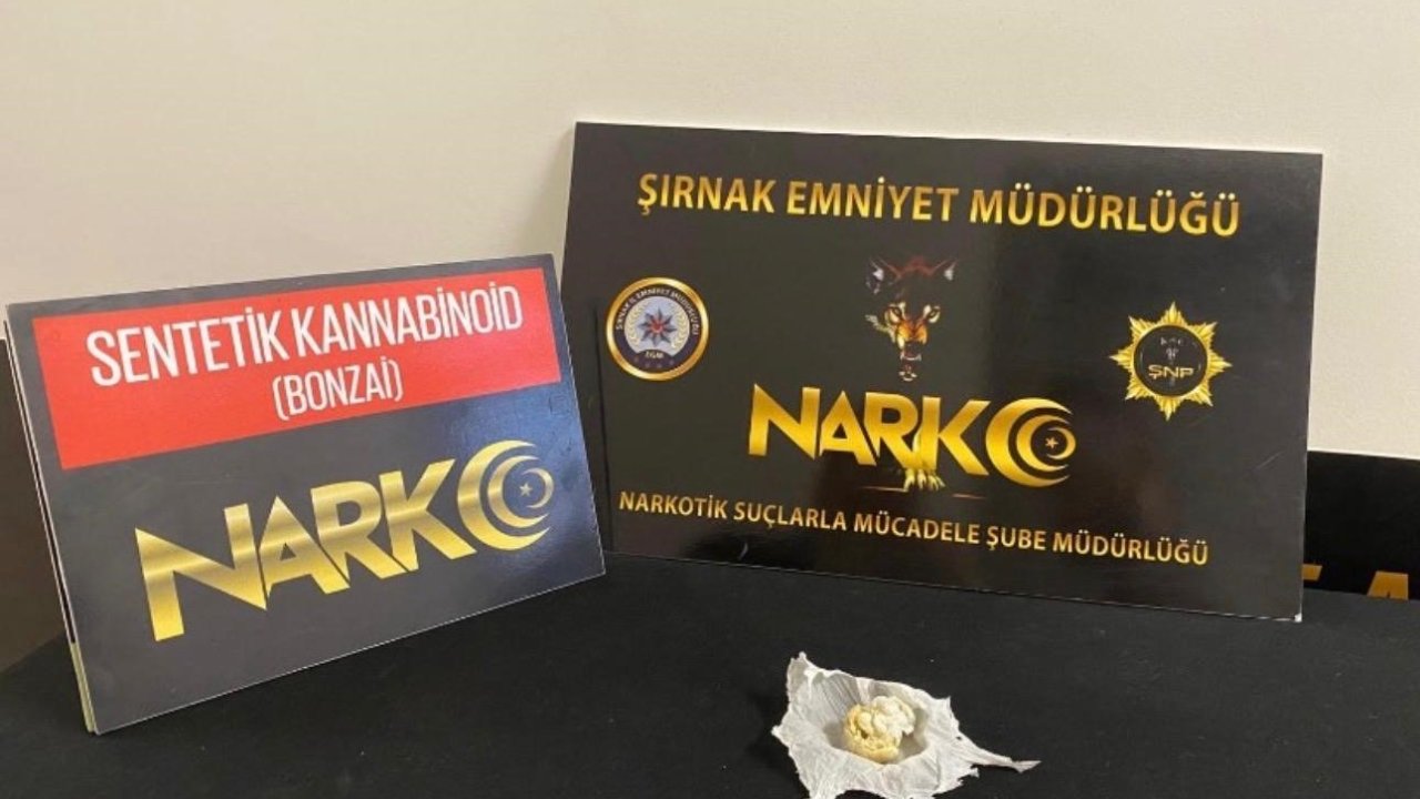 Şırnak’ta narkotik ve kaçakçılık operasyonu: 4 tutuklama
