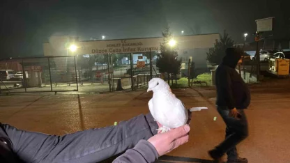 Tahliyeleri beyaz güvercinle karşıladılar