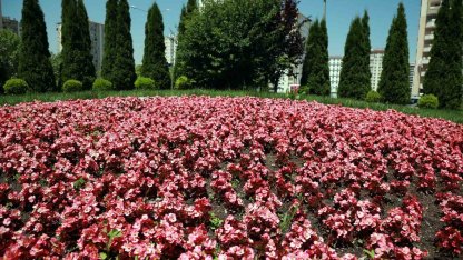 Talas 2026’da rengarenk olacak