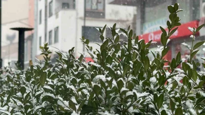 Tatvan’da kar yağışı