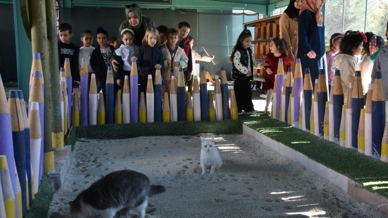 Türkiye’de ilk olan ’Küçük Dostlar Ambulansı’ ile 10 bin 280 can kurtarıldı