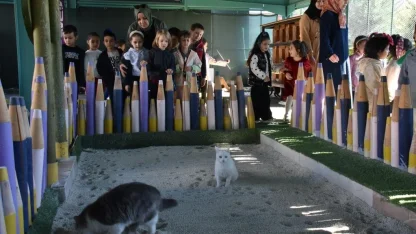 Türkiye’de ilk olan ’Küçük Dostlar Ambulansı’ ile 10 bin 280 can kurtarıldı