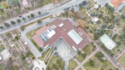 Ulu çınarların yuvası yenileniyor