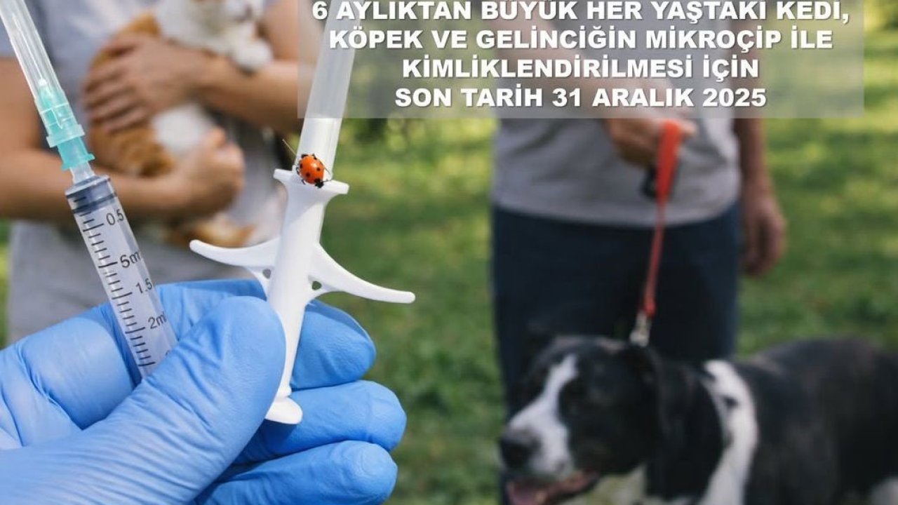 Valilikten evcil hayvan uyarısı