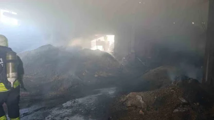 Vize’de palet fabrikasının deposunda yangın