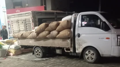 Yılbaşına günler kala fındık fiyatları yükselişe geçti