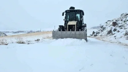 Yüksek rakımlı Aydınlar beldesinde kar esareti başladı