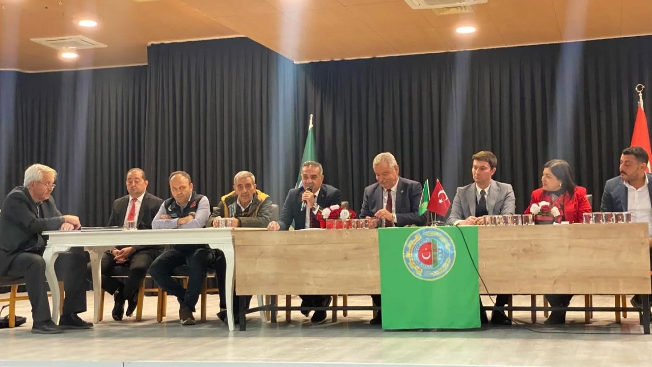 Zeytin üreticileri için destek ve markalaşma önerisi