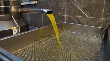 Zeytinyağı fiyatları belli oldu, fiyatlarda artış yaşandı