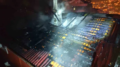 Zonguldak’ta alevler geceyi aydınlattı, itfaiye papağanı yangın ortasından kurtardı