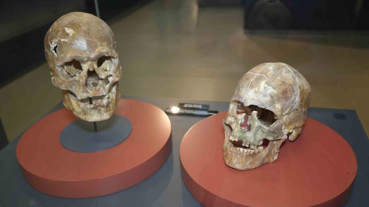 5 bin yıllık kafatası ve Amisos Hazineleri ilgi odağı oldu