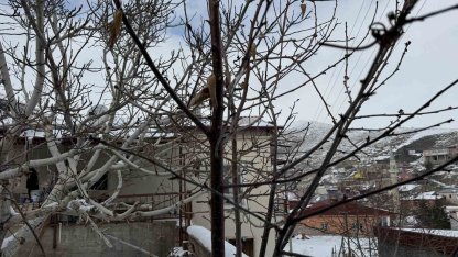 52 yılın en kurak zamanını geçiren çiftçi yağışlarla sevindi: İkinci üründe su sıkıntısı yaşanmayacak