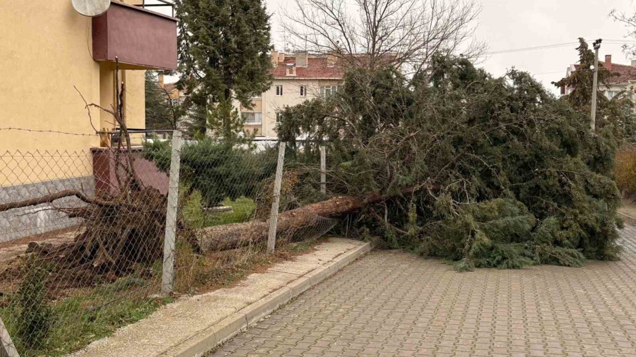75. Yıl Mahallesi fırtınadan olumsuz etkilendi