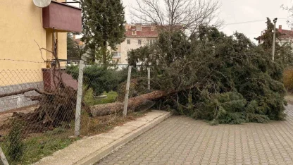 75. Yıl Mahallesi fırtınadan olumsuz etkilendi