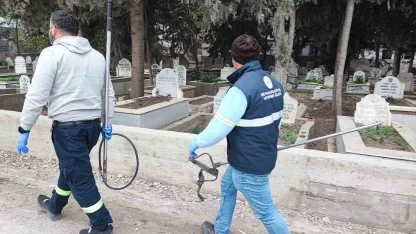 Adana’da sokak köpeği endişesi