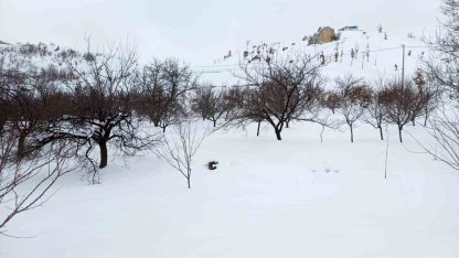 Akçadağ’da kar kalınlığı 1 metreye yaklaştı