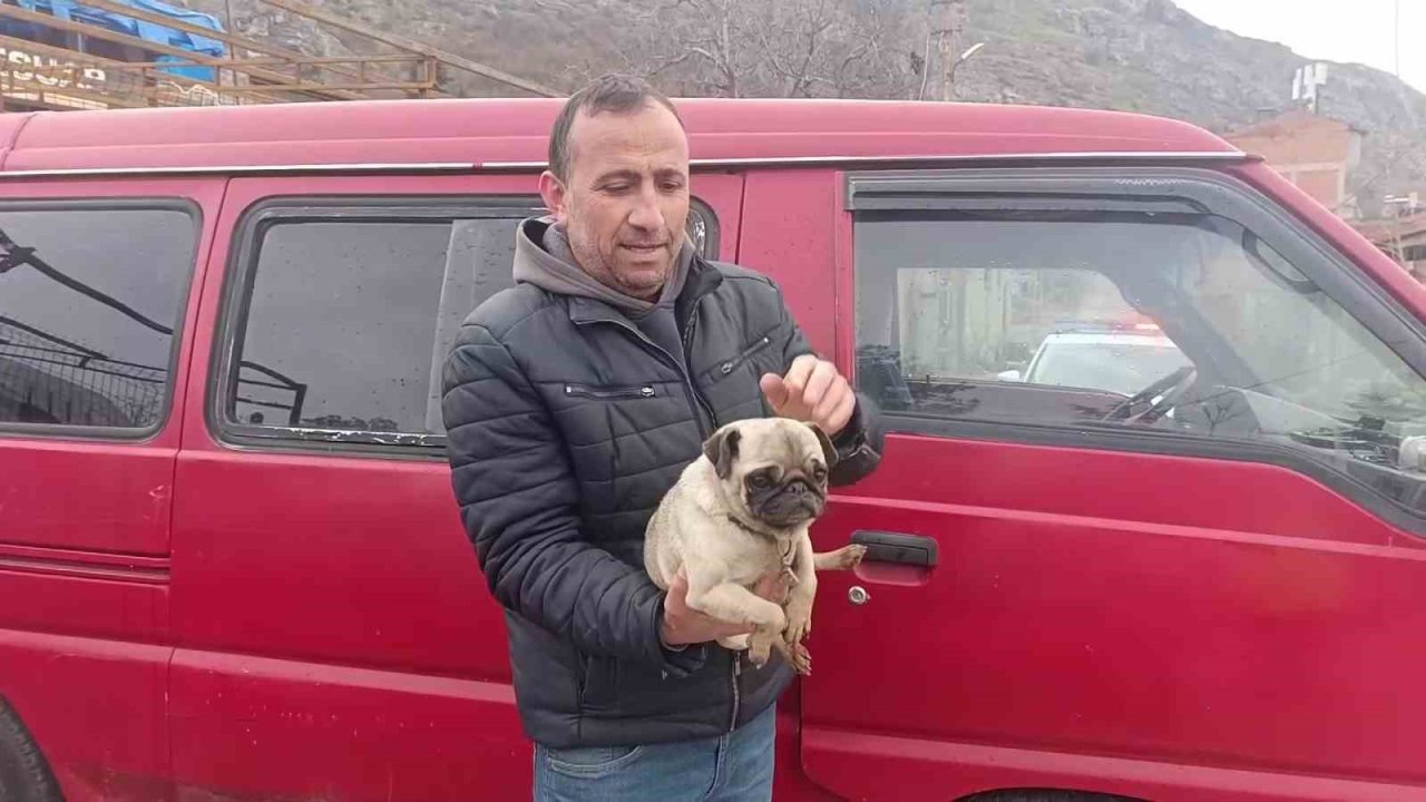 Amasya’da yangında mahsur kalan köpeği muhtar kurtardı