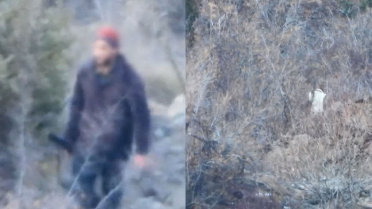 Artvin’de yasa dışı avcılığa geçit yok