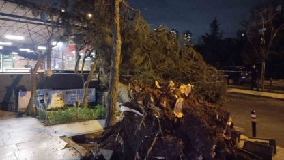 Ataşehir’de fırtına nedeniyle ağaç devrildi